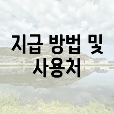 지급 방법 및 사용처