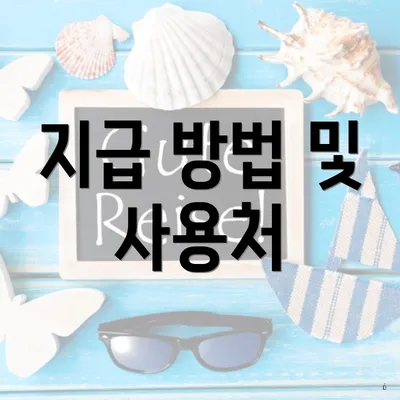 지급 방법 및 사용처