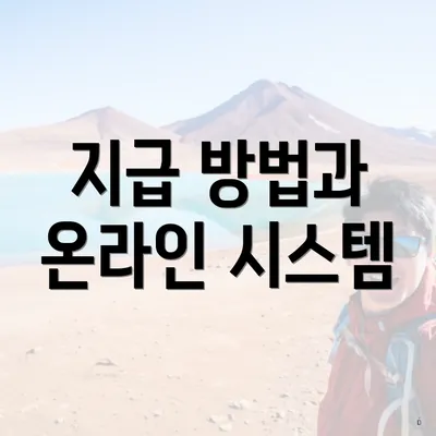 지급 방법과 온라인 시스템