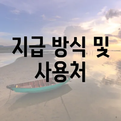 지급 방식 및 사용처