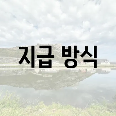 지급 방식