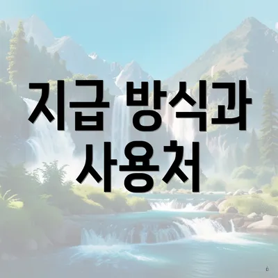 지급 방식과 사용처
