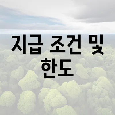 지급 조건 및 한도