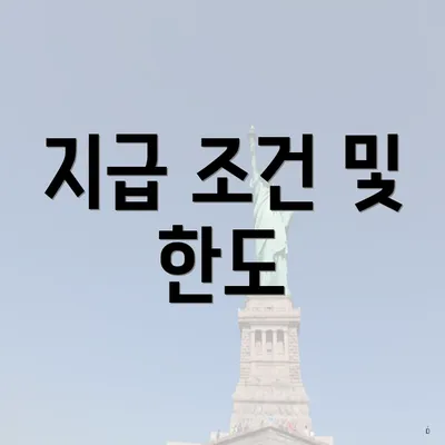 지급 조건 및 한도