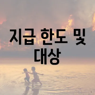 지급 한도 및 대상