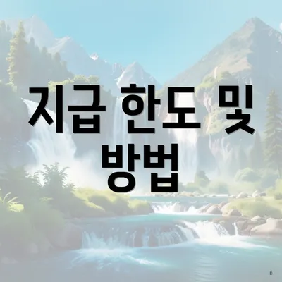 지급 한도 및 방법