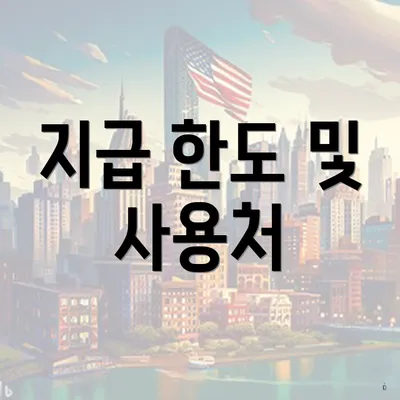지급 한도 및 사용처