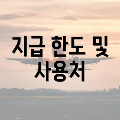지급 한도 및 사용처