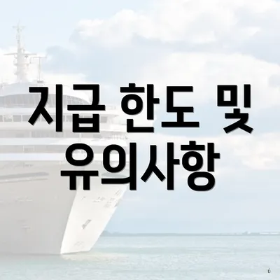 지급 한도 및 유의사항