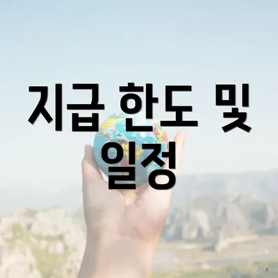 지급 한도 및 일정