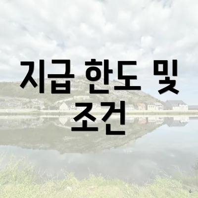 지급 한도 및 조건
