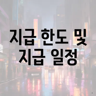 지급 한도 및 지급 일정
