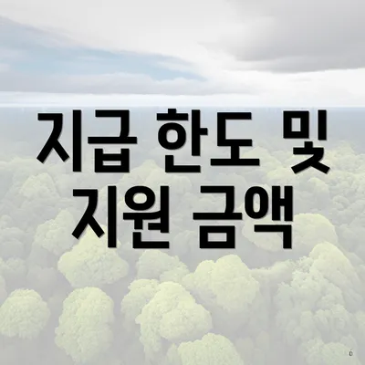 지급 한도 및 지원 금액