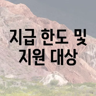 지급 한도 및 지원 대상