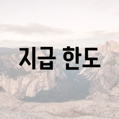 지급 한도