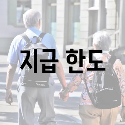 지급 한도