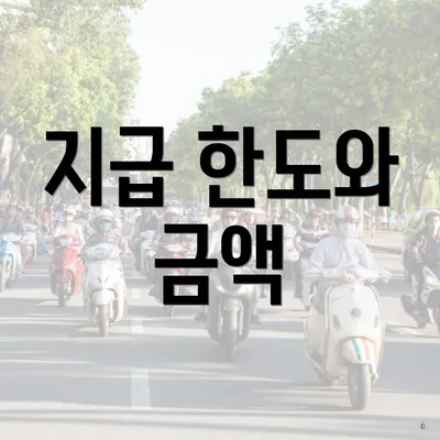 지급 한도와 금액