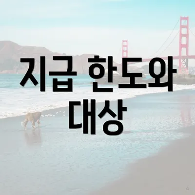 지급 한도와 대상