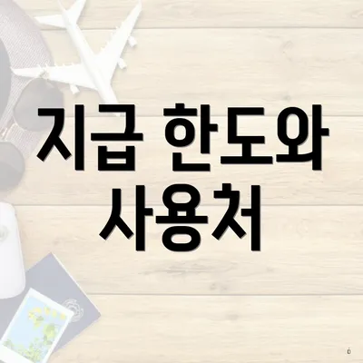 지급 한도와 사용처