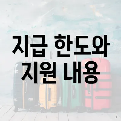 지급 한도와 지원 내용