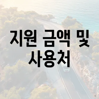 지원 금액 및 사용처