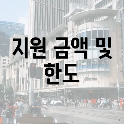 지원 금액 및 한도
