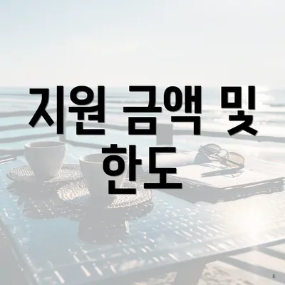 지원 금액 및 한도