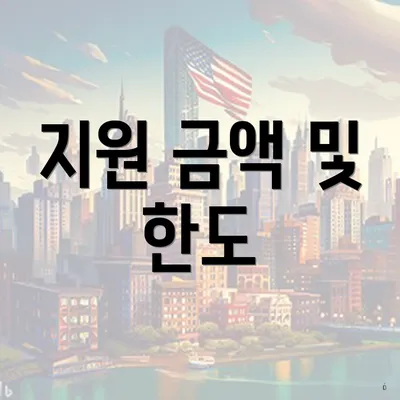 지원 금액 및 한도