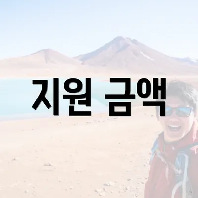 지원 금액
