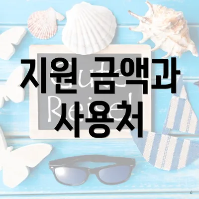 지원 금액과 사용처