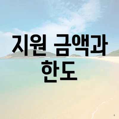 지원 금액과 한도