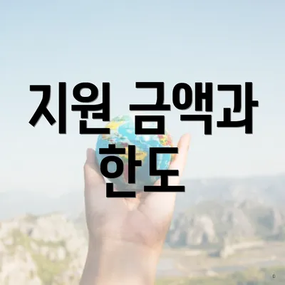 지원 금액과 한도