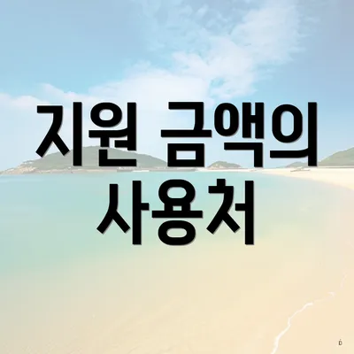 지원 금액의 사용처