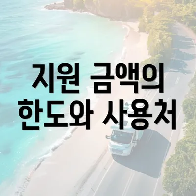 지원 금액의 한도와 사용처