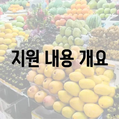 지원 내용 개요