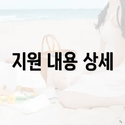 지원 내용 상세