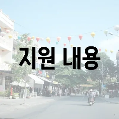 지원 내용