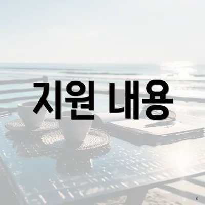 지원 내용