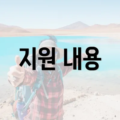 지원 내용
