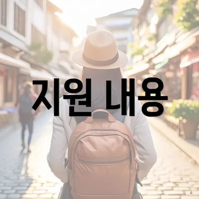 지원 내용