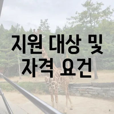 지원 대상 및 자격 요건