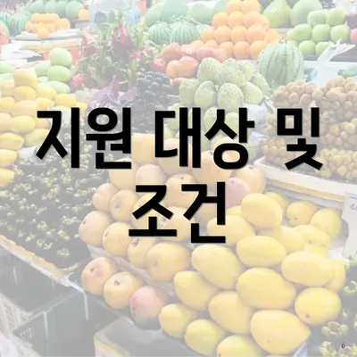 지원 대상 및 조건