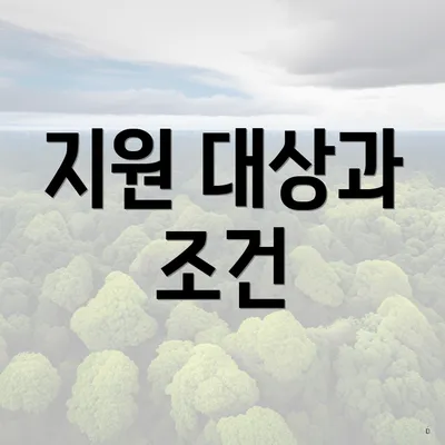 지원 대상과 조건