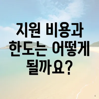지원 비용과 한도는 어떻게 될까요?