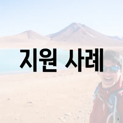 지원 사례