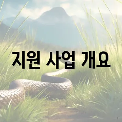 지원 사업 개요
