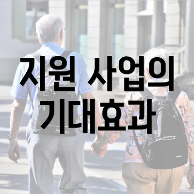지원 사업의 기대효과