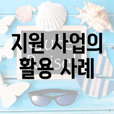 지원 사업의 활용 사례