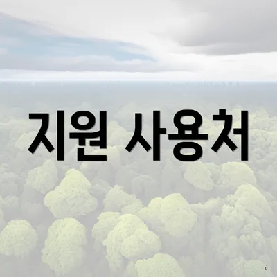 지원 사용처