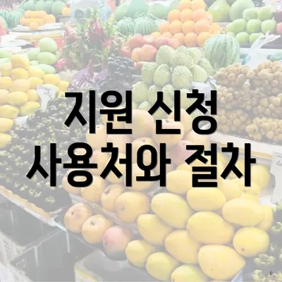 지원 신청 사용처와 절차
